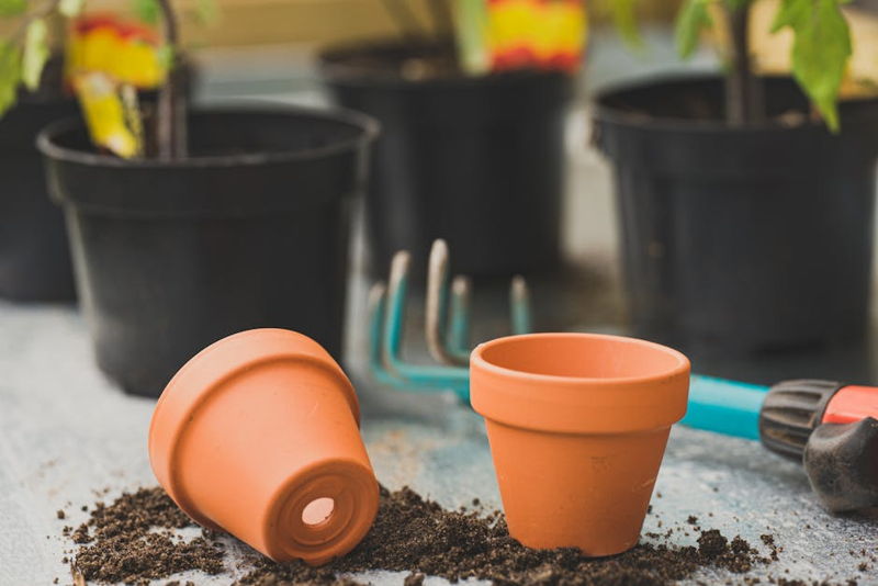best urban garden tools for small spaces