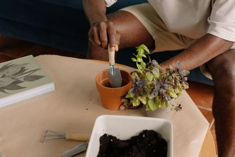 Urban Garden Tools for Small Spaces